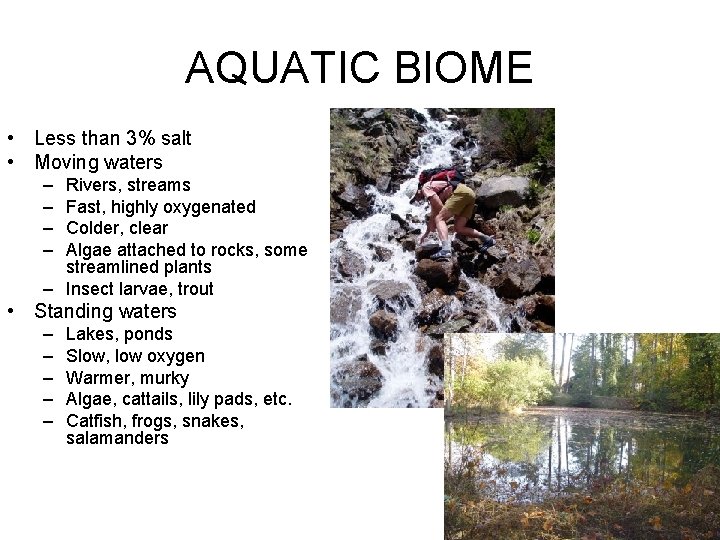 AQUATIC BIOME • Less than 3% salt • Moving waters – – Rivers, streams