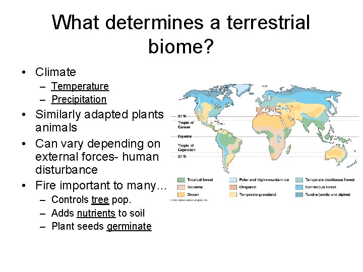 What determines a terrestrial biome? • Climate – Temperature – Precipitation • Similarly adapted