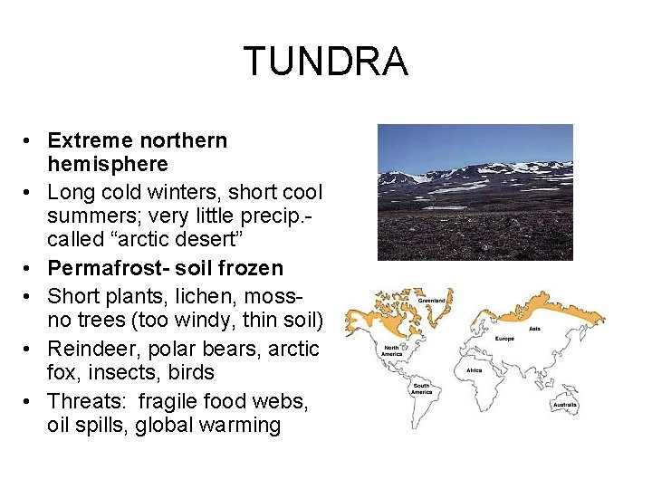 TUNDRA • Extreme northern hemisphere • Long cold winters, short cool summers; very little
