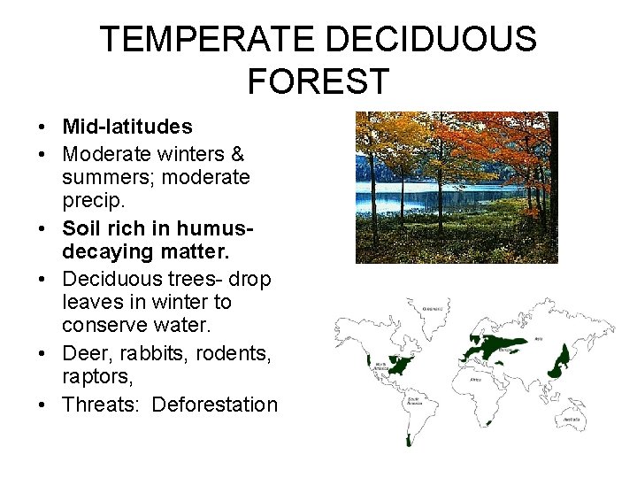 TEMPERATE DECIDUOUS FOREST • Mid-latitudes • Moderate winters & summers; moderate precip. • Soil