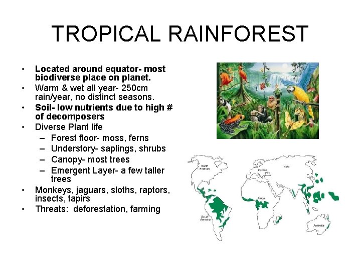 TROPICAL RAINFOREST • • • Located around equator- most biodiverse place on planet. Warm