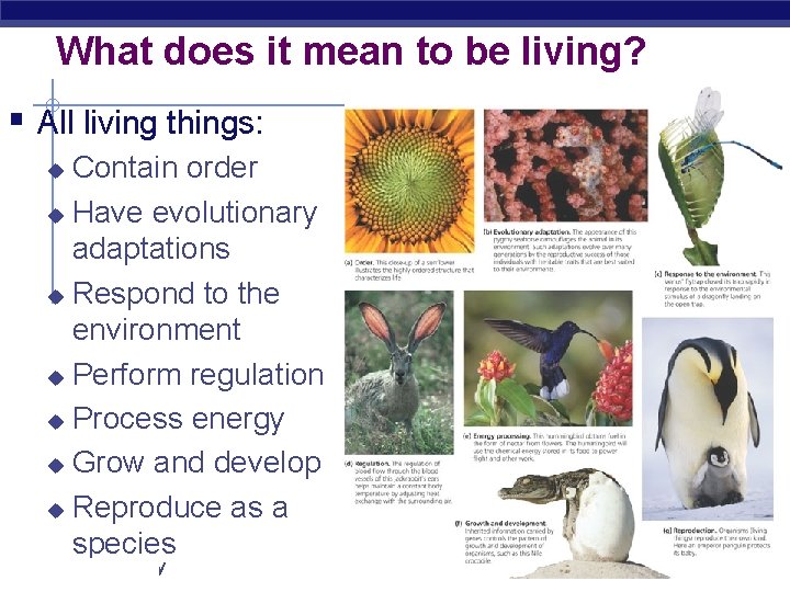What does it mean to be living? § All living things: Contain order u