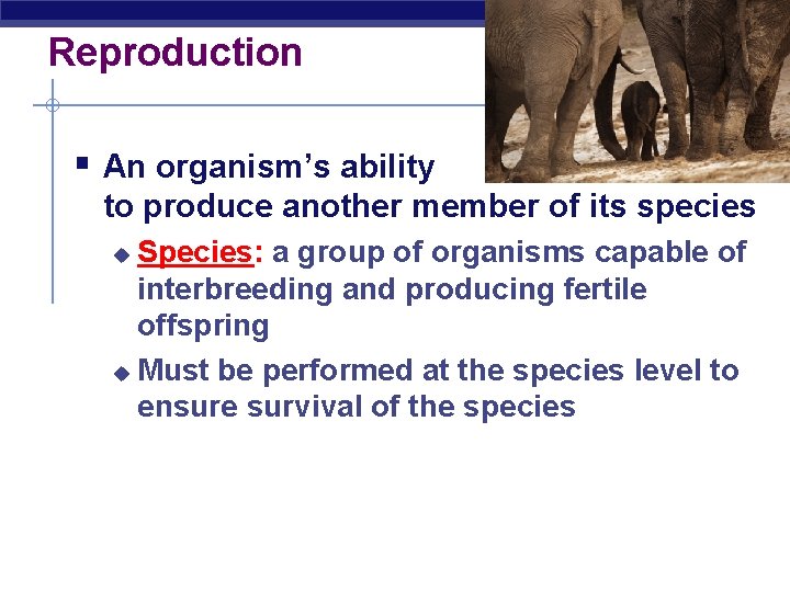 Reproduction § An organism’s ability to produce another member of its species Species: a