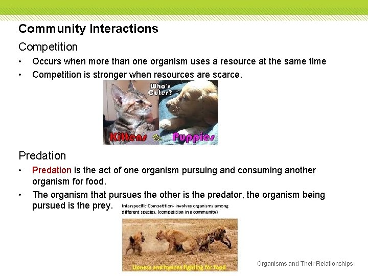 Community Interactions Competition • • Occurs when more than one organism uses a resource