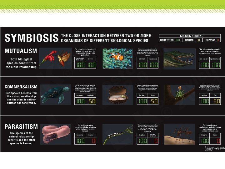 Community Interactions Symbiotic relationships Symbiosis is the close relationship that exists when two or