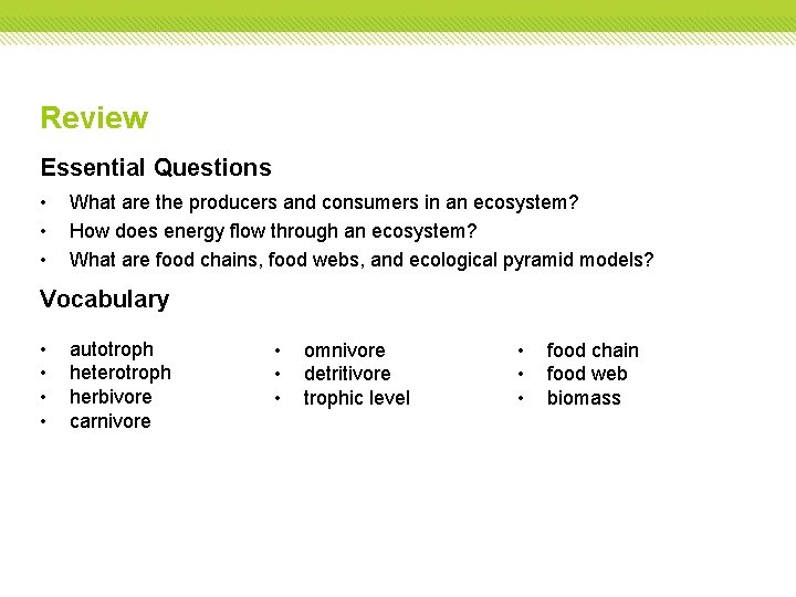 Review Essential Questions • • • What are the producers and consumers in an