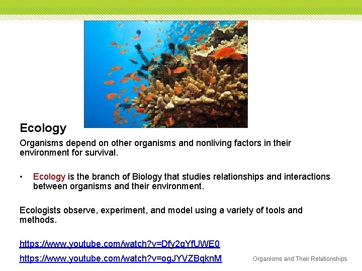 Ecology Organisms depend on other organisms and nonliving factors in their environment for survival.