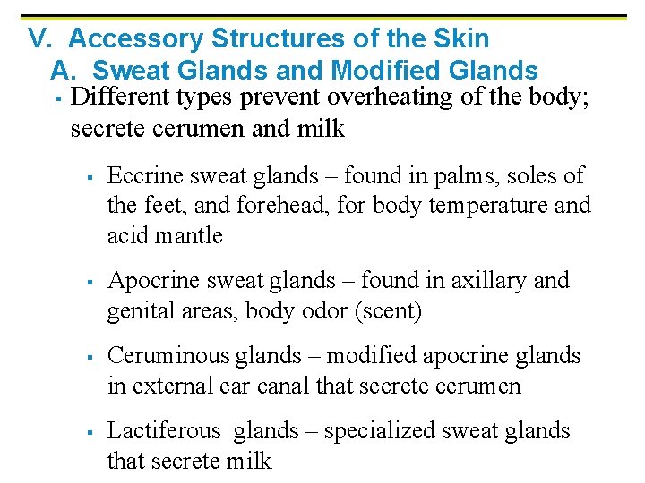 V. Accessory Structures of the Skin A. Sweat Glands and Modified Glands § Different