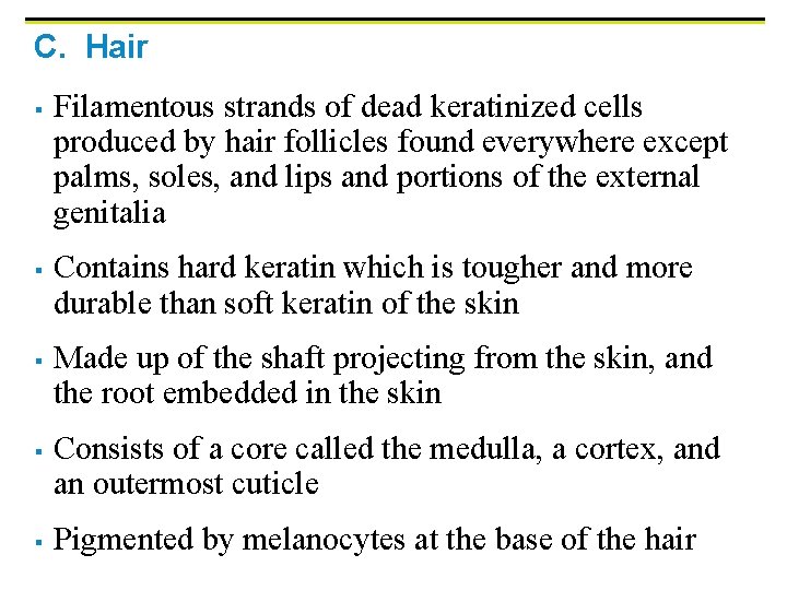 C. Hair § § § Filamentous strands of dead keratinized cells produced by hair