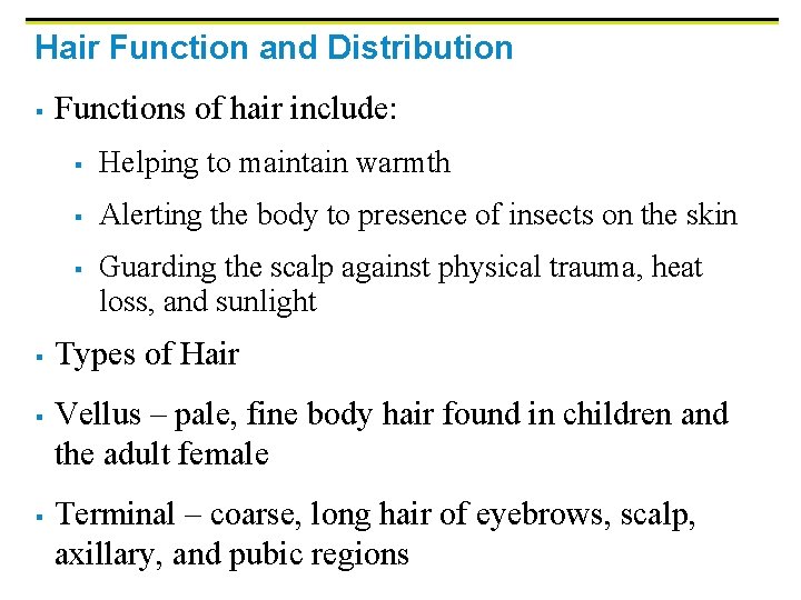 Hair Function and Distribution § Functions of hair include: § Helping to maintain warmth