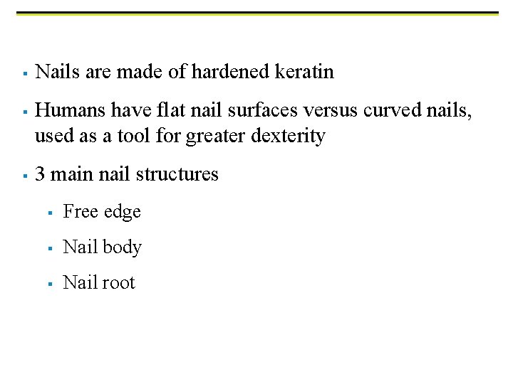 § § § Nails are made of hardened keratin Humans have flat nail surfaces
