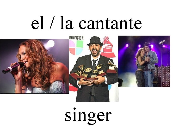 el / la cantante singer 