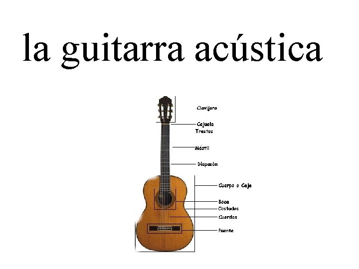 la guitarra acústica 