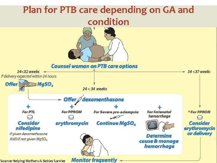 Plan for PTB care depending on GA and condition Source: Helping Mothers & Babies