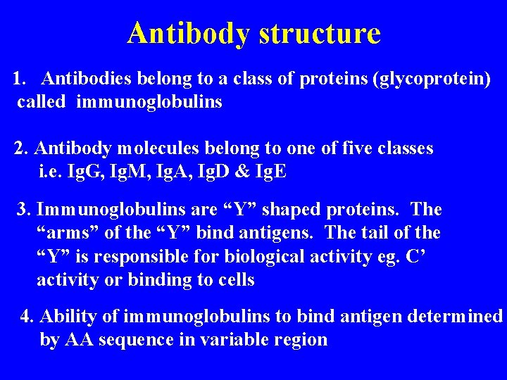 Antibody structure 1. Antibodies belong to a class of proteins (glycoprotein) called immunoglobulins 2.