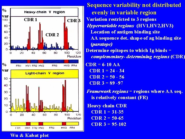 % var Sequence variability not distributed evenly in variable region CDR 1 CDR 3