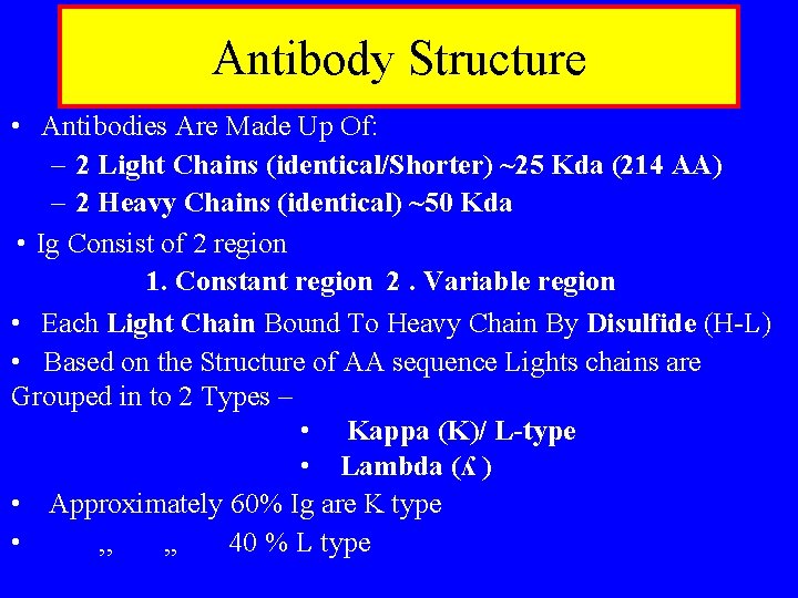 Antibody Structure • Antibodies Are Made Up Of: – 2 Light Chains (identical/Shorter) ~25