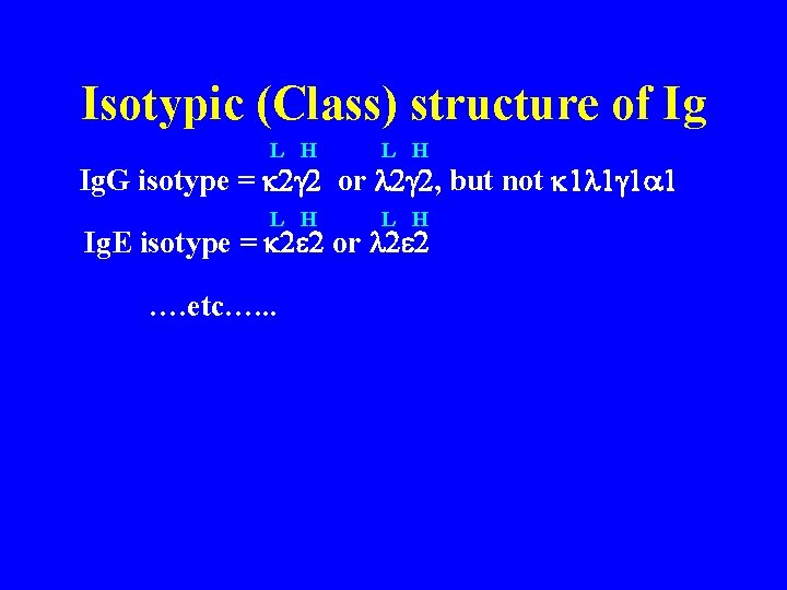 Isotypic (Class) structure of Ig L H L H Ig. G isotype = k