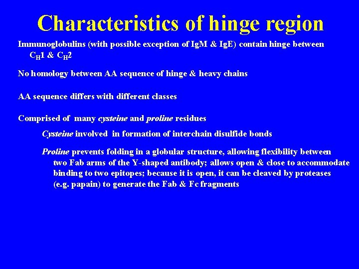 Characteristics of hinge region Immunoglobulins (with possible exception of Ig. M & Ig. E)