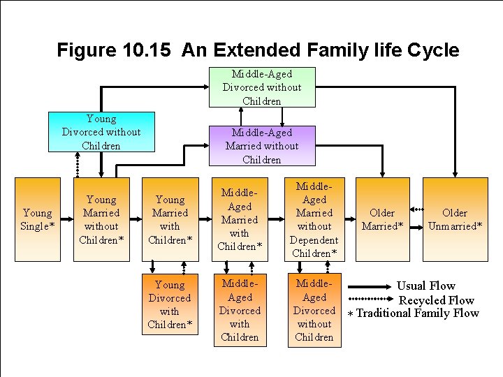 Figure 10. 15 An Extended Family life Cycle Middle-Aged Divorced without Children Young Single*