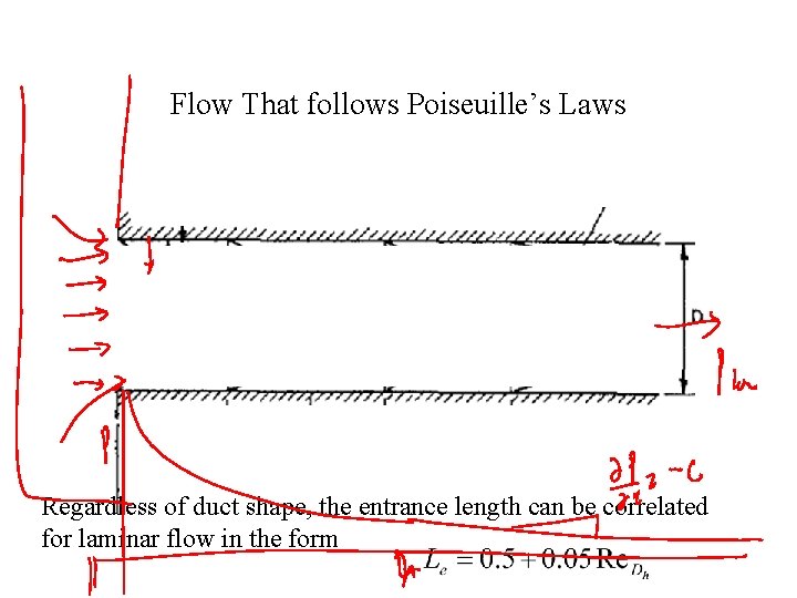 Flow That follows Poiseuille’s Laws Regardless of duct shape, the entrance length can be