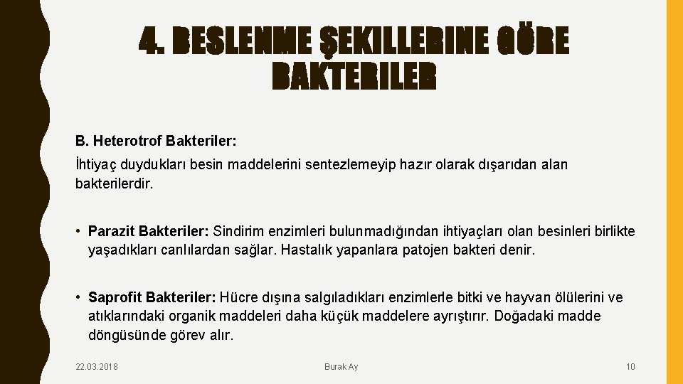 4. BESLENME ŞEKILLERINE GÖRE BAKTERILER B. Heterotrof Bakteriler: İhtiyaç duydukları besin maddelerini sentezlemeyip hazır
