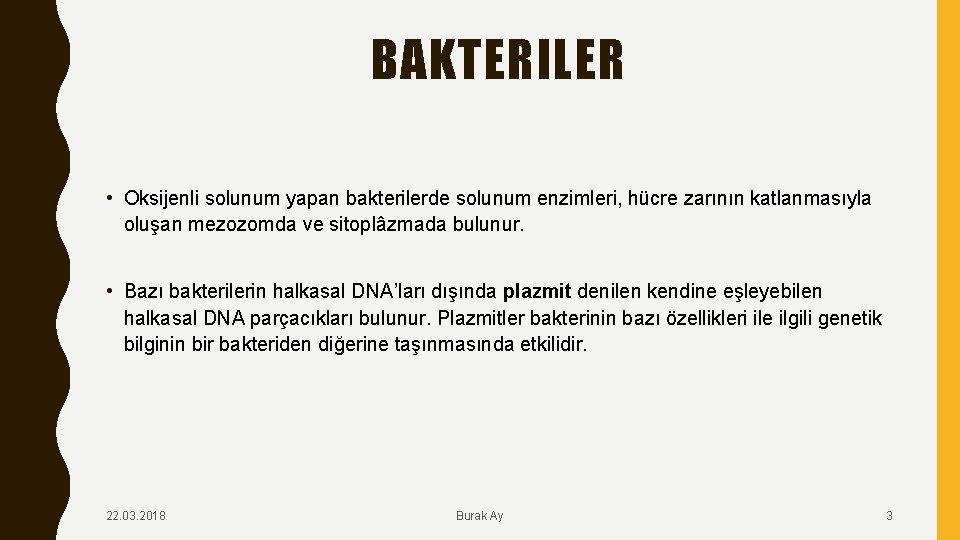 BAKTERILER • Oksijenli solunum yapan bakterilerde solunum enzimleri, hücre zarının katlanmasıyla oluşan mezozomda ve