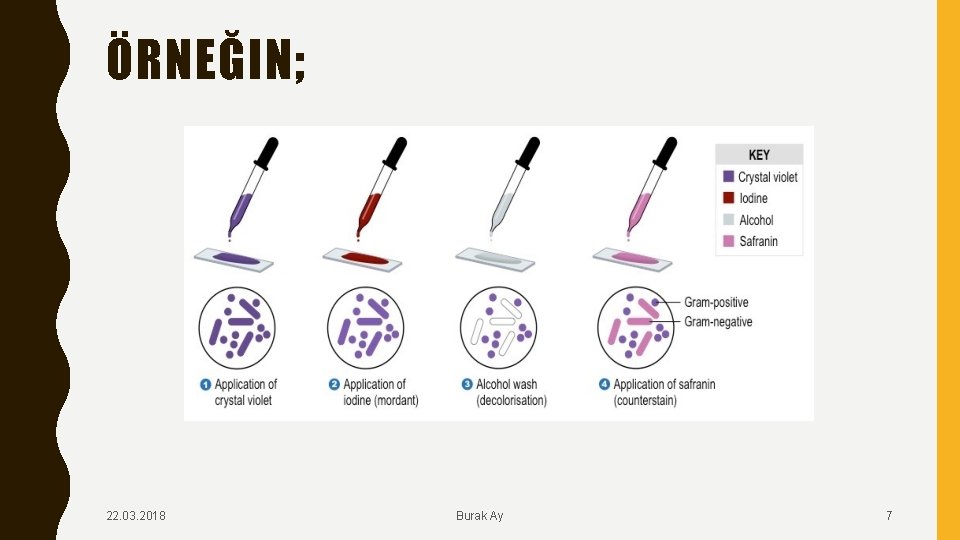 ÖRNEĞIN; 22. 03. 2018 Burak Ay 7 