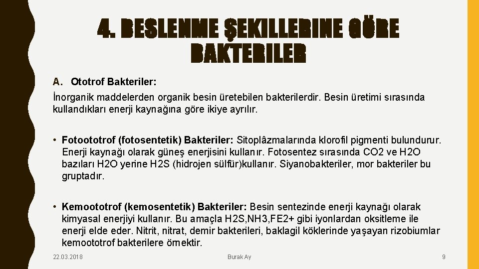 4. BESLENME ŞEKILLERINE GÖRE BAKTERILER A. Ototrof Bakteriler: İnorganik maddelerden organik besin üretebilen bakterilerdir.