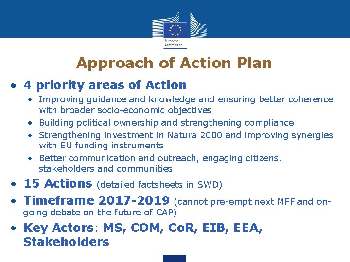 Approach of Action Plan • 4 priority areas of Action • Improving guidance and