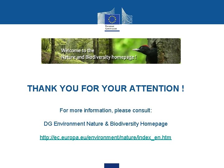 THANK YOU FOR YOUR ATTENTION ! For more information, please consult: DG Environment Nature