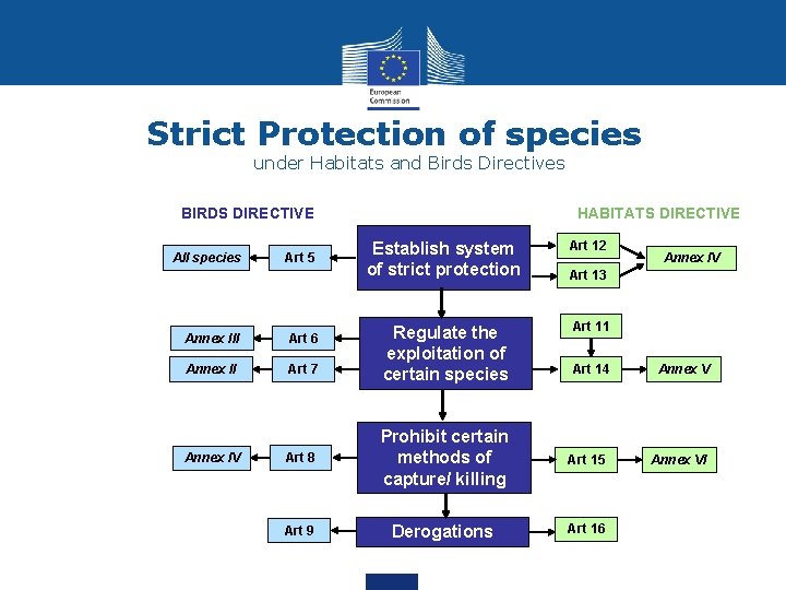 Strict Protection of species under Habitats and Birds Directives BIRDS DIRECTIVE All species Art