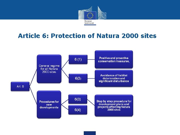 Article 6: Protection of Natura 2000 sites 