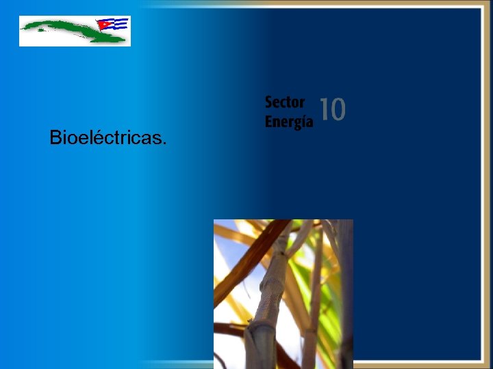 Bioeléctricas. 