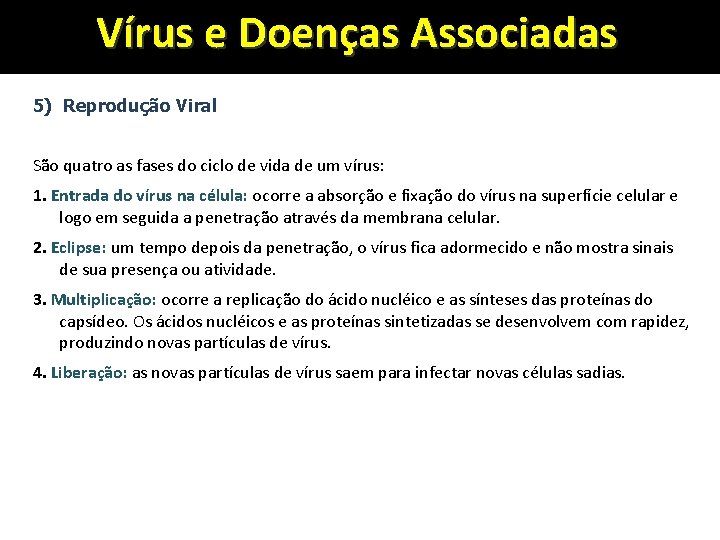 Vírus e Doenças Associadas 5) Reprodução Viral São quatro as fases do ciclo de