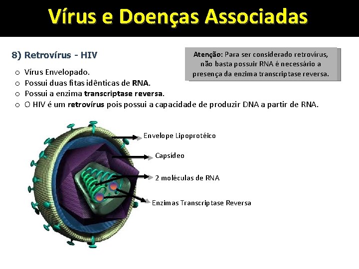 Vírus e Doenças Associadas Atenção: Para ser considerado retrovírus, não basta possuir RNA é