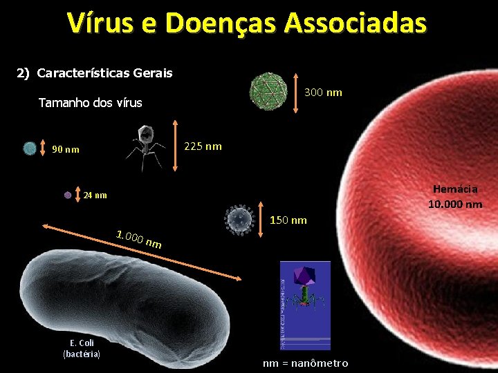 Vírus e Doenças Associadas 2) Características Gerais 300 nm Tamanho dos vírus 225 nm