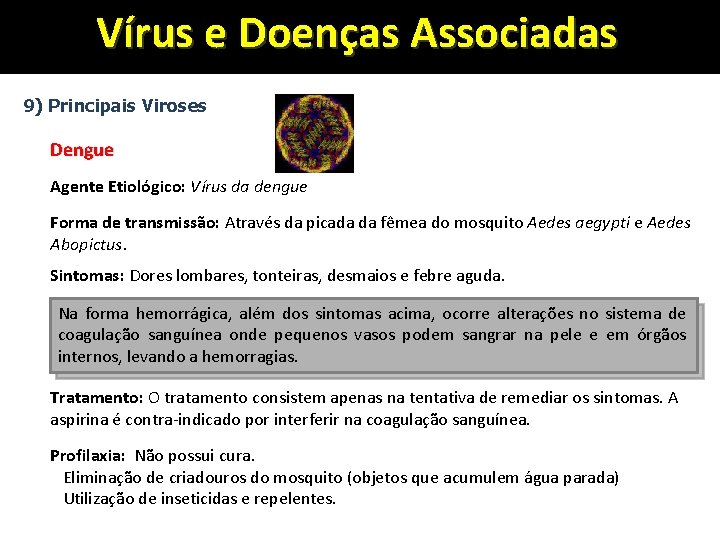Vírus e Doenças Associadas 9) Principais Viroses Dengue Agente Etiológico: Vírus da dengue Forma