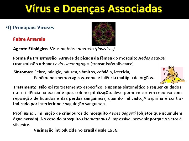 Vírus e Doenças Associadas 9) Principais Viroses Febre Amarela Agente Etiológico: Vírus da febre