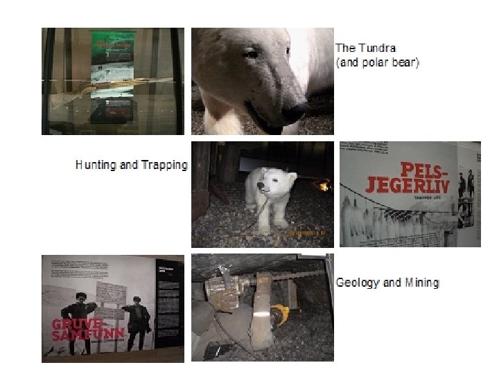 The Tundra (and polar bear) Hunting and Trapping Geology and Mining 