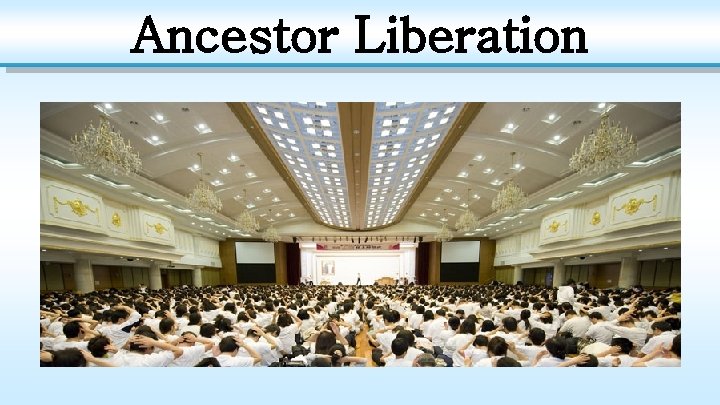 Ancestor Liberation 