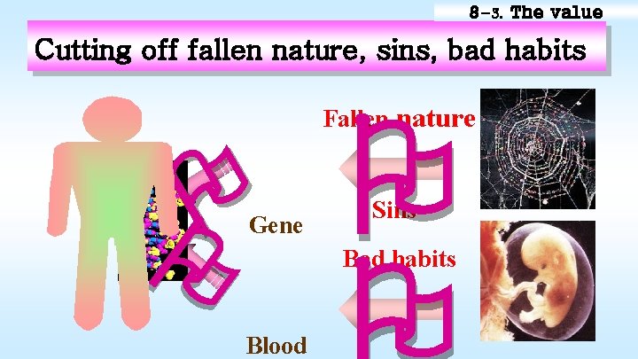 8 -3. The value Cutting off fallen nature, sins, bad habits Fallen nature Gene