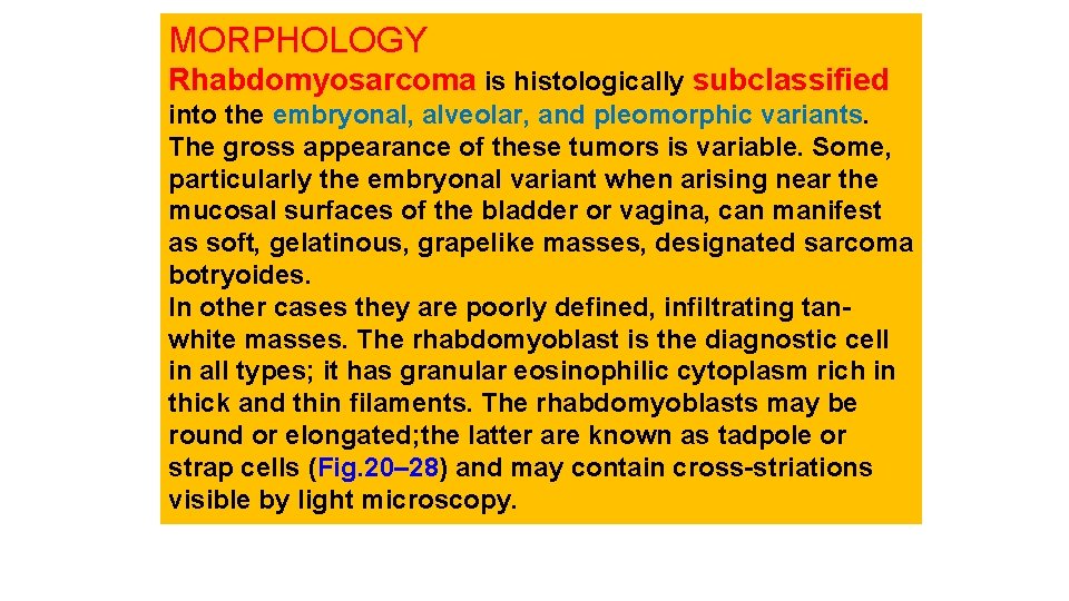 MORPHOLOGY Rhabdomyosarcoma is histologically subclassified into the embryonal, alveolar, and pleomorphic variants. The gross