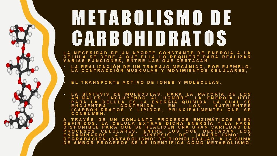 METABOLISMO DE CARBOHIDRATOS LA NECESIDAD DE UN APORTE CONSTANTE DE ENERGÍA A LA CÉLULA