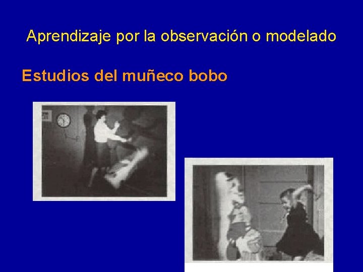 Aprendizaje por la observación o modelado Estudios del muñeco bobo 