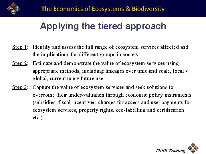 Applying the tiered approach Step 1: Identify and assess the full range of ecosystem