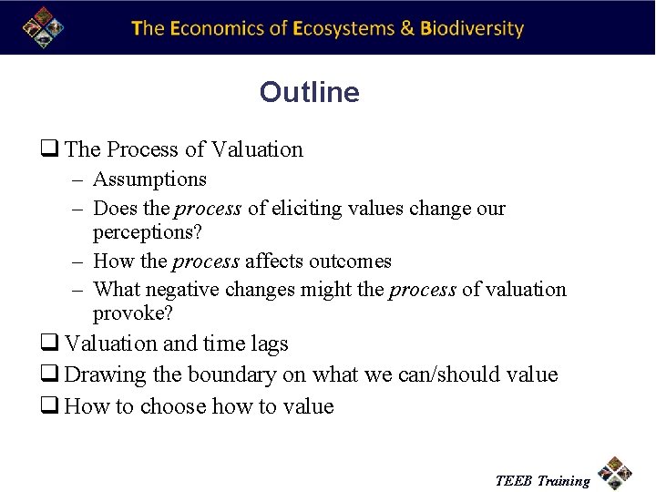 Outline q The Process of Valuation – Assumptions – Does the process of eliciting
