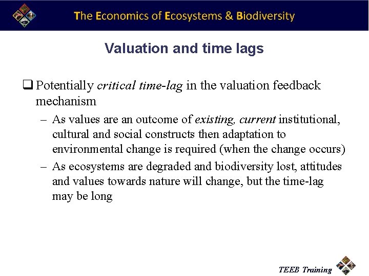 Valuation and time lags q Potentially critical time-lag in the valuation feedback mechanism –