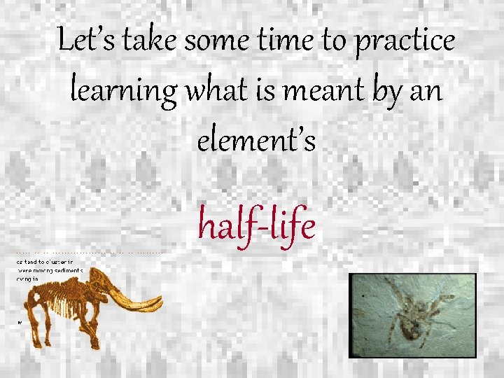 Let’s take some time to practice learning what is meant by an element’s half-life