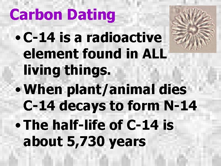 Carbon Dating • C-14 is a radioactive element found in ALL living things. •
